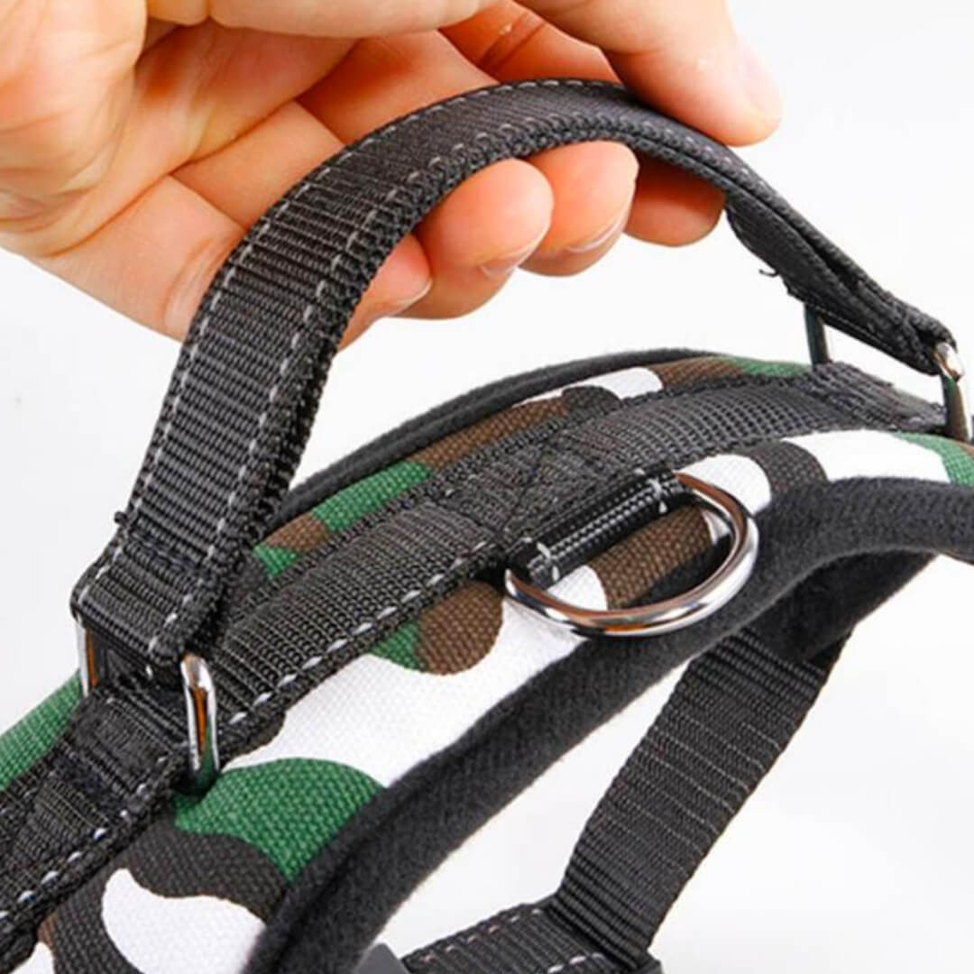 Adjustable Pet Collar Harness | myesoko.com