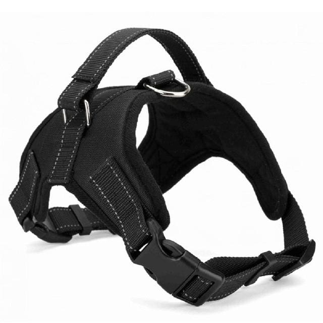 Adjustable pet collar harness - black / L