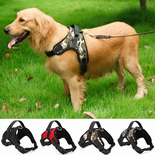 Adjustable pet collar harness