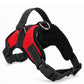 Adjustable pet collar harness - red / L